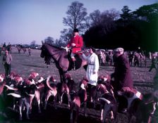 Hunt of Woburn Abbey, Bedfordshire, c1955. Creator: Arthur Charles Kirby Ware