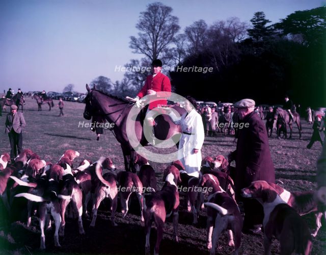 Hunt of Woburn Abbey, Bedfordshire, c1955.  Creator: Arthur Charles Kirby Ware.