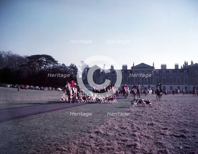 Hunt of Woburn Abbey, Bedfordshire, c1955.  Creator: Arthur Charles Kirby Ware.