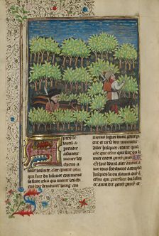 Hunters Training Dogs to Track a Quarry; Livre de la Chasse, about 1430-1440. Creator: Unknown