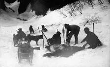 Hunters with a dead bear, 1910-1929. Creator: Ivan Emelianovich Larin