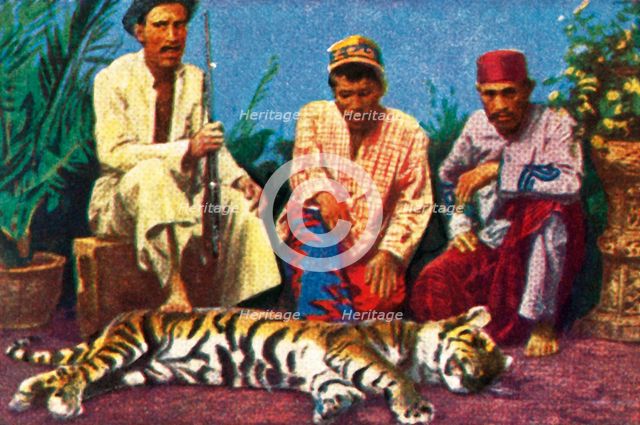 Hunters with dead tiger in Sumatra, c1928. Creator: Unknown.