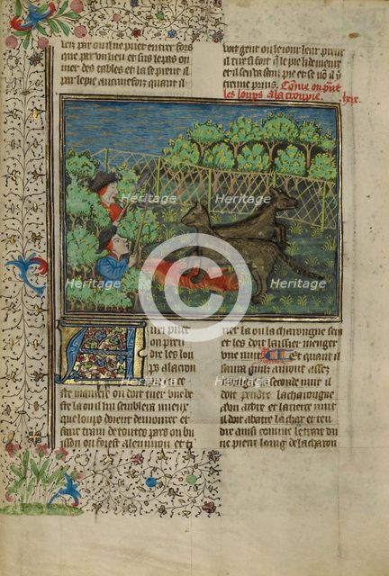 Hunters Attracting Wolves with Carrion; Livre de la Chasse, about 1430-1440. Creator: Unknown.