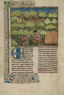 Hunters Examining a Deer's Hoofprints; Livre de la Chasse, about 1430-1440. Creator: Unknown