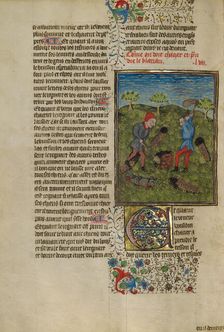 Hunters Ferreting Out Badgers; Livre de la Chasse, about 1430-1440. Creator: Unknown