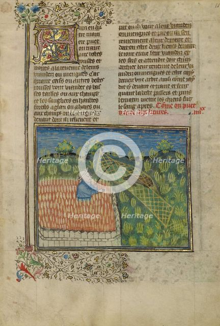 Hunters Netting a Hare; Livre de la Chasse, about 1430-1440. Creator: Unknown.