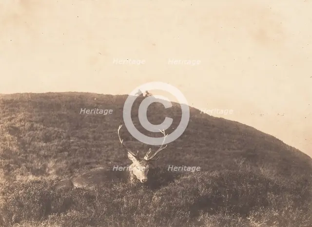 Hunters Stalking a Deer, ca. 1857. Creator: Horatio Ross.