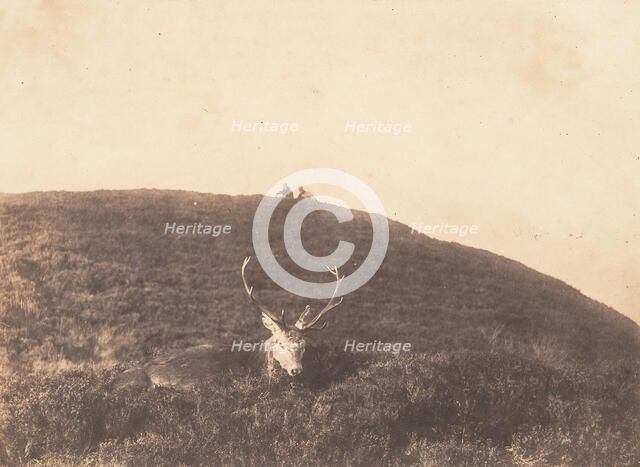 Hunters Stalking a Deer, ca. 1857. Creator: Horatio Ross.