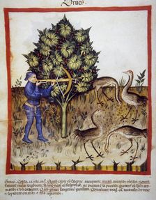 Hunting, 14th century. Creator: Unknown