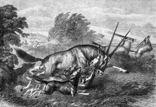 Hunting the Gemsbok in South Africa, 1870. Creator: S Carter