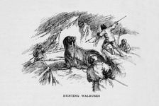 Hunting Walruses c1927, (1928)