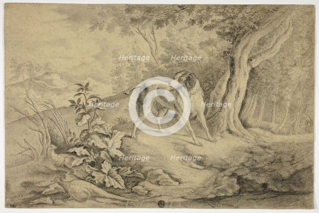 Hunting Dog in Woods, n.d. Creator: James Barenger.