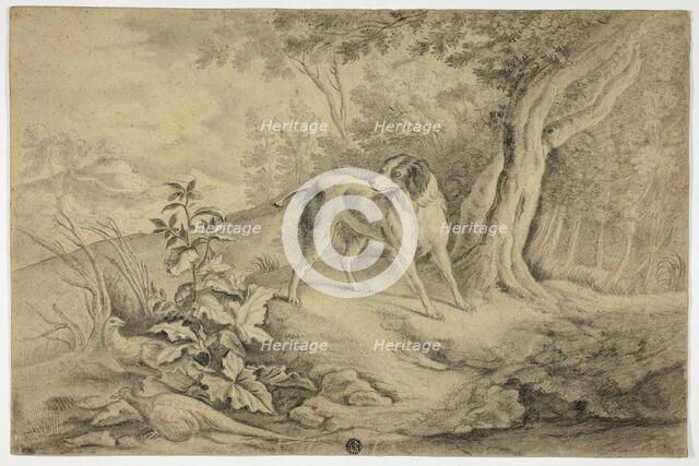 Hunting Dog in Woods, n.d. Creator: James Barenger.