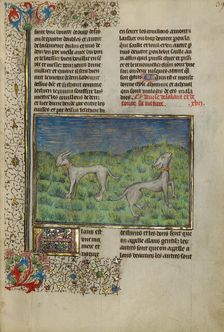 Hunting Dogs; Livre de la Chasse, about 1430-1440. Creator: Unknown