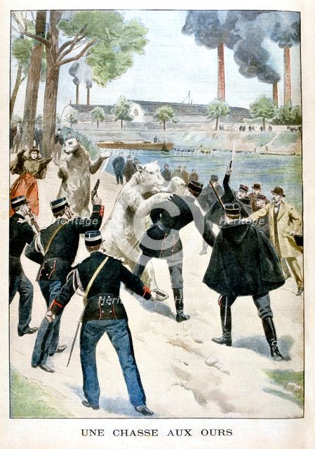 Hunting for Bears, 1901. Artist: Unknown