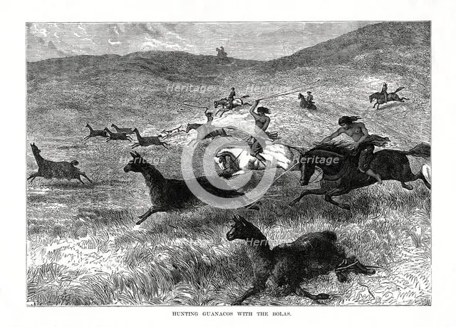 'Hunting Guanacos with the Bolas', South America, 1877. Artist: Unknown