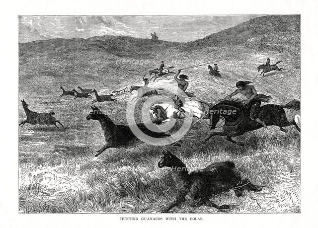 'Hunting Guanacos with the Bolas', South America, 1877. Artist: Unknown