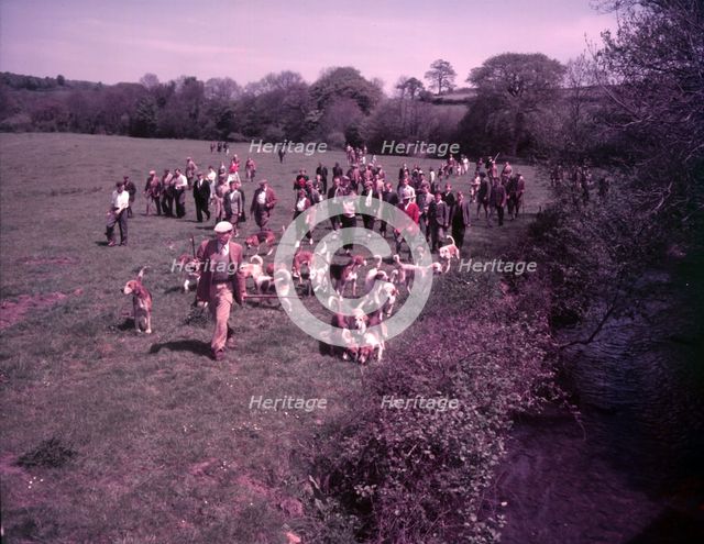 Hunting, Hawley, Somerset, c1955.  Creator: Arthur Charles Kirby Ware.