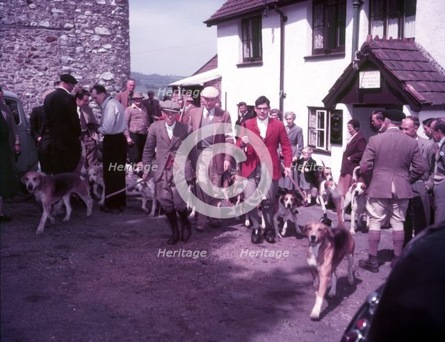 Hunting, Hawley, Somerset, c1955.  Creator: Arthur Charles Kirby Ware.