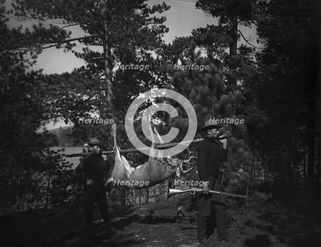 Hunting in the Adirondacks, c1903. Creator: Unknown.