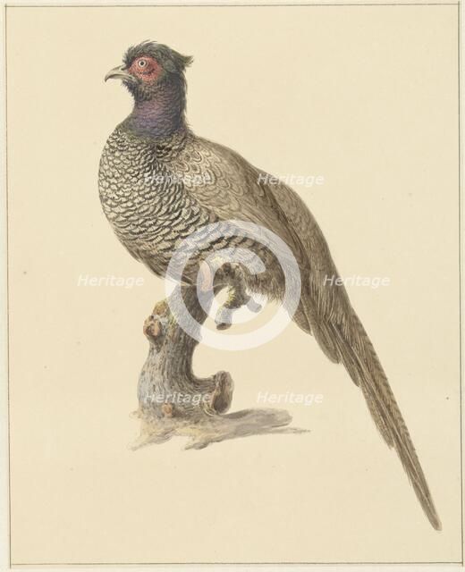 Hunting pheasant, 1759-1842. Creator: Pieter Bartholomeusz. Barbiers.