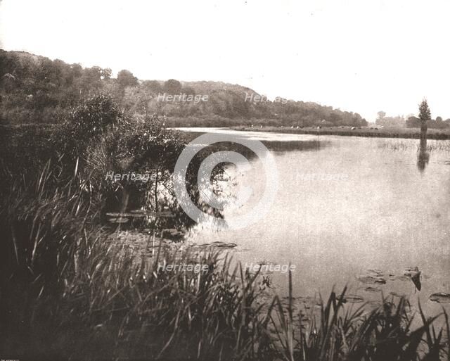 Hurley Reach, River Thames between Bisham and Medmenham, Buckinghamshire, 1894. Creator: Unknown.