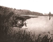 Hurley Reach, River Thames between Bisham and Medmenham, Buckinghamshire, 1894. Creator: Unknown