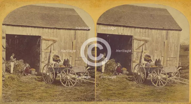 Husking Scene., about 1870-1880. Creator: Unknown.
