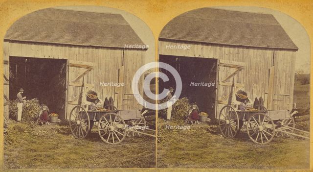 Husking Scene., about 1870-1880. Creator: Unknown.
