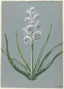 Hyacinth Margrave Charles of Baden Durlach, 1720-1729. Creator: Hendrik Budde