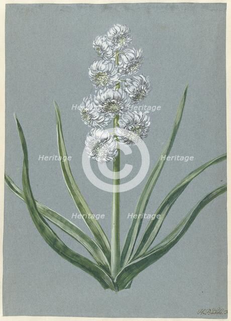 Hyacinth Margrave Charles of Baden Durlach, 1720-1729. Creator: Hendrik Budde.