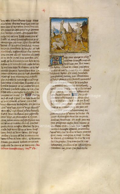 Hybrids; Miroir Historial, about 1475. Creator: Unknown.