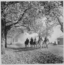 Hyde Park, City of Westminster, Greater London Authority, 1960-1985. Creator: Leonard Robin Mattock