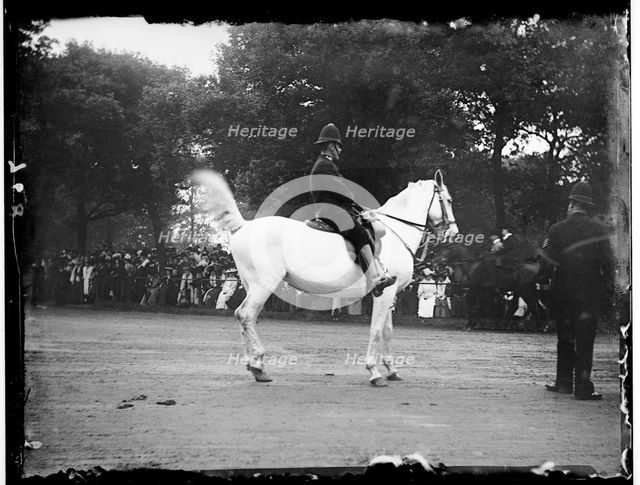 Hyde Park, City of Westminster, London, 1906. Creator: Katherine Jean Macfee.