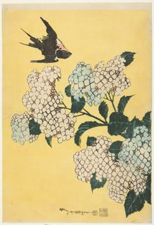 Hydrangea and Swallow, from an untitled series of large flowers, Japan, c. 1833/34. Creator: Hokusai