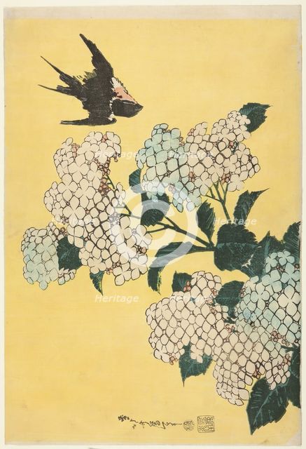 Hydrangea and Swallow, from an untitled series of large flowers, Japan, c. 1833/34. Creator: Hokusai.