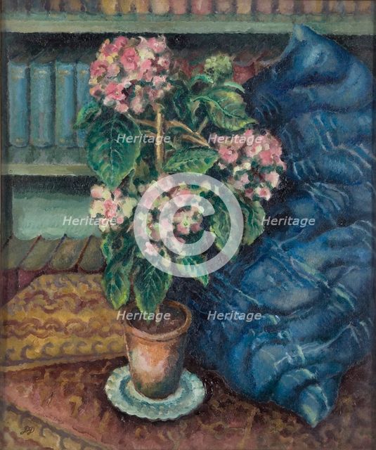 Hydrangeas, 1893-1932. Creator: Douglas Davidson.