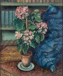 Hydrangeas, 1893-1932. Creator: Douglas Davidson