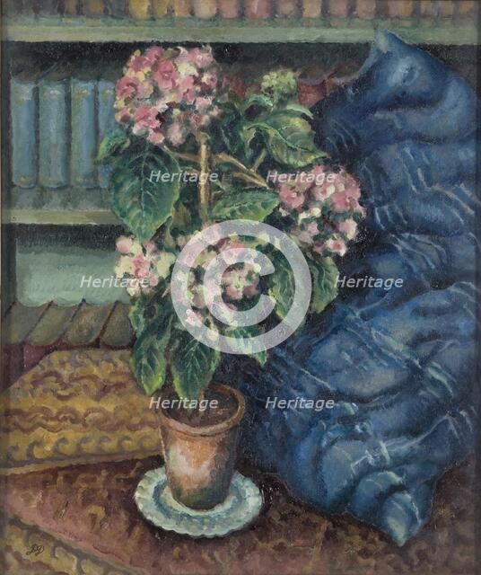 Hydrangeas, 1893-1932. Artist: Douglas Davidson
