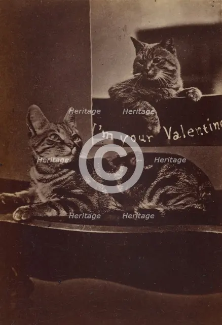 I'm Your Valentine., about 1865. Creator: Henry Pointer.