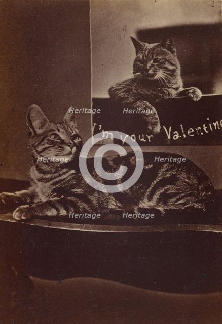 I'm Your Valentine., about 1865. Creator: Henry Pointer.