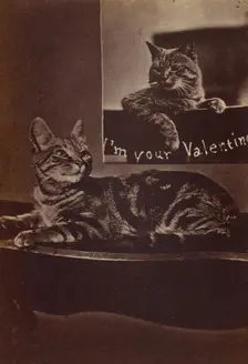 I'm Your Valentine., about 1865. Creator: Henry Pointer