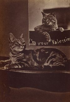 I'm Your Valentine., about 1865. Creator: Henry Pointer