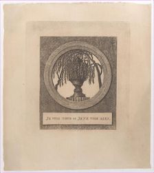 I see everything and I see nothing (Je vois tout et je ne vois rien), with hidden silhouet..., 1796. Creator: D. Martin