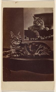 I'm Your Valentine., about 1865. Creator: Henry Pointer