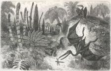 Imaginary Landscape during the Secondary Epoch, with Pterodactyls, Lias Period 1865. Creator: Unknown