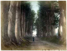 Imaichi Road at Nikko, Japan, early 20th century(?)