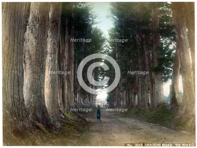 Imaichi Road at Nikko, Japan, early 20th century(?). Artist: Unknown