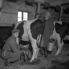 Immigrant farm workers from Estonia in Sweden, 1946. Creator: Otto Ohm