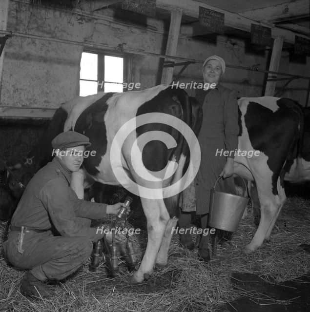 Immigrant farm workers from Estonia in Sweden, 1946. Creator: Otto Ohm.